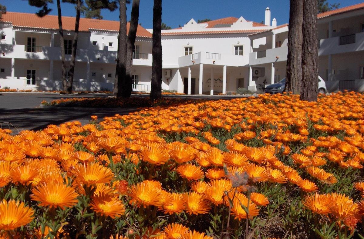 Hotel Rural Monte da Lezíria 4