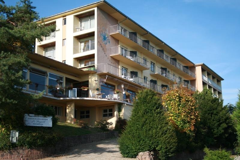 L'Alexain Hôtel Restaurant & Wellness 4
