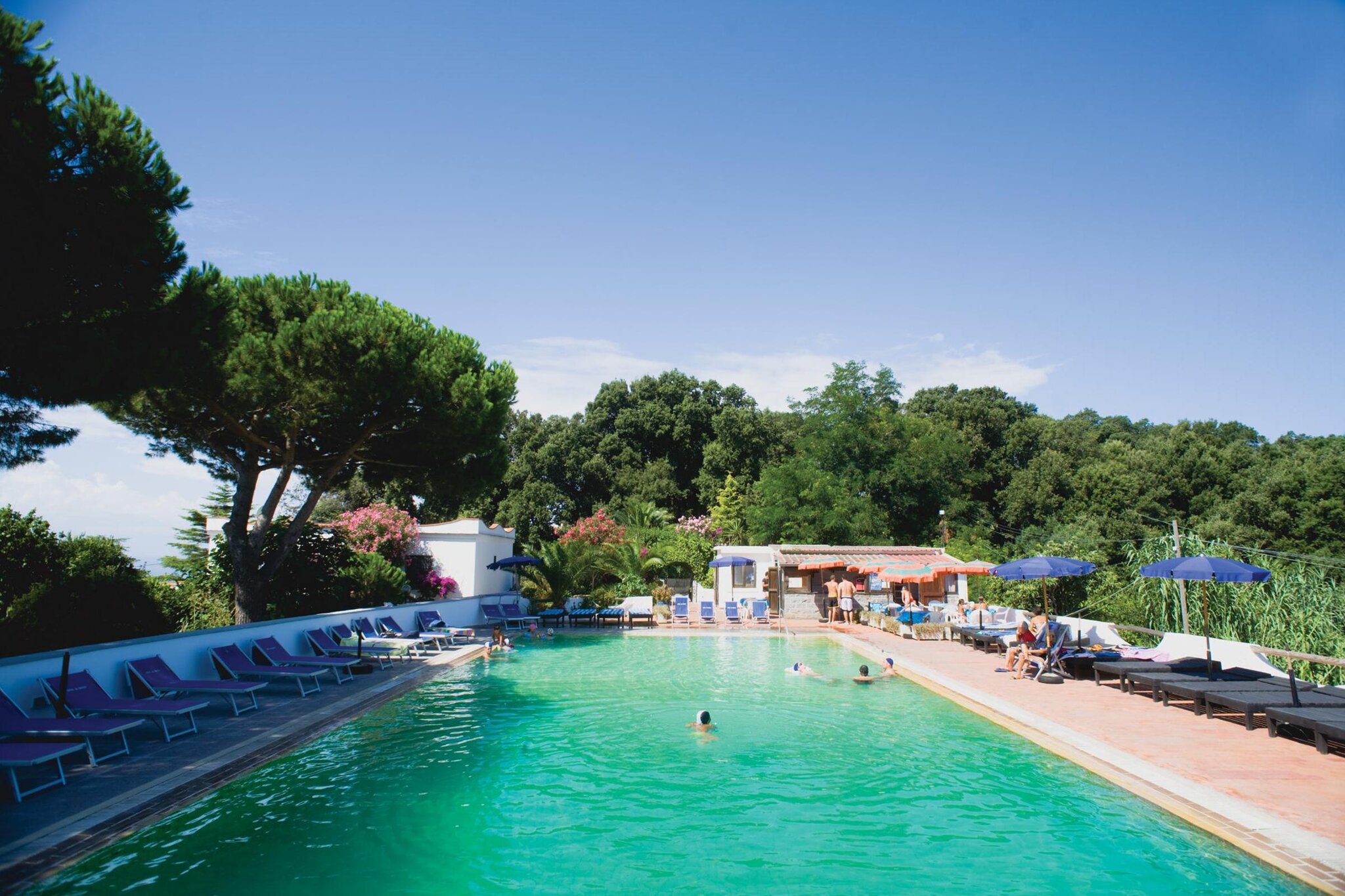Hotel al Bosco 5