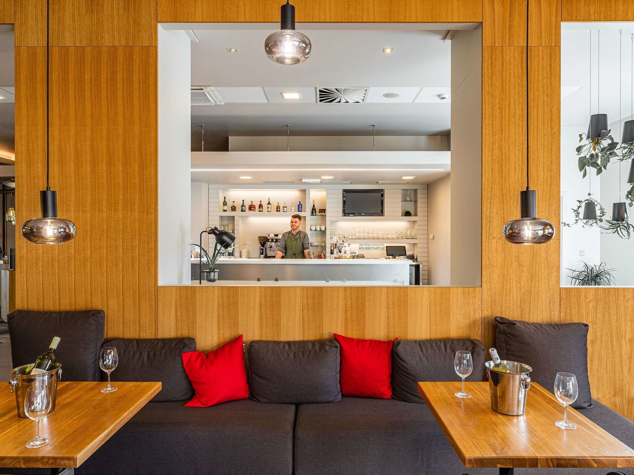ibis Plzen 5