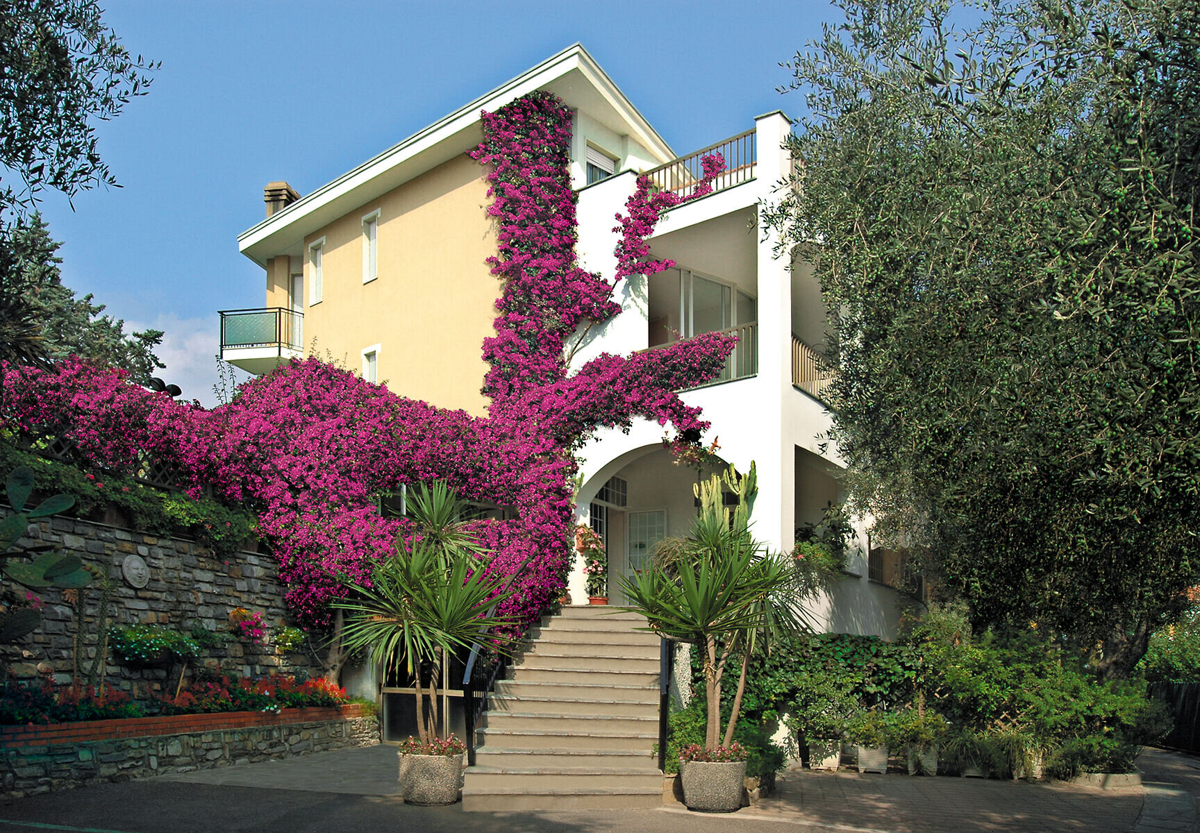 Hotel Bellavista 4