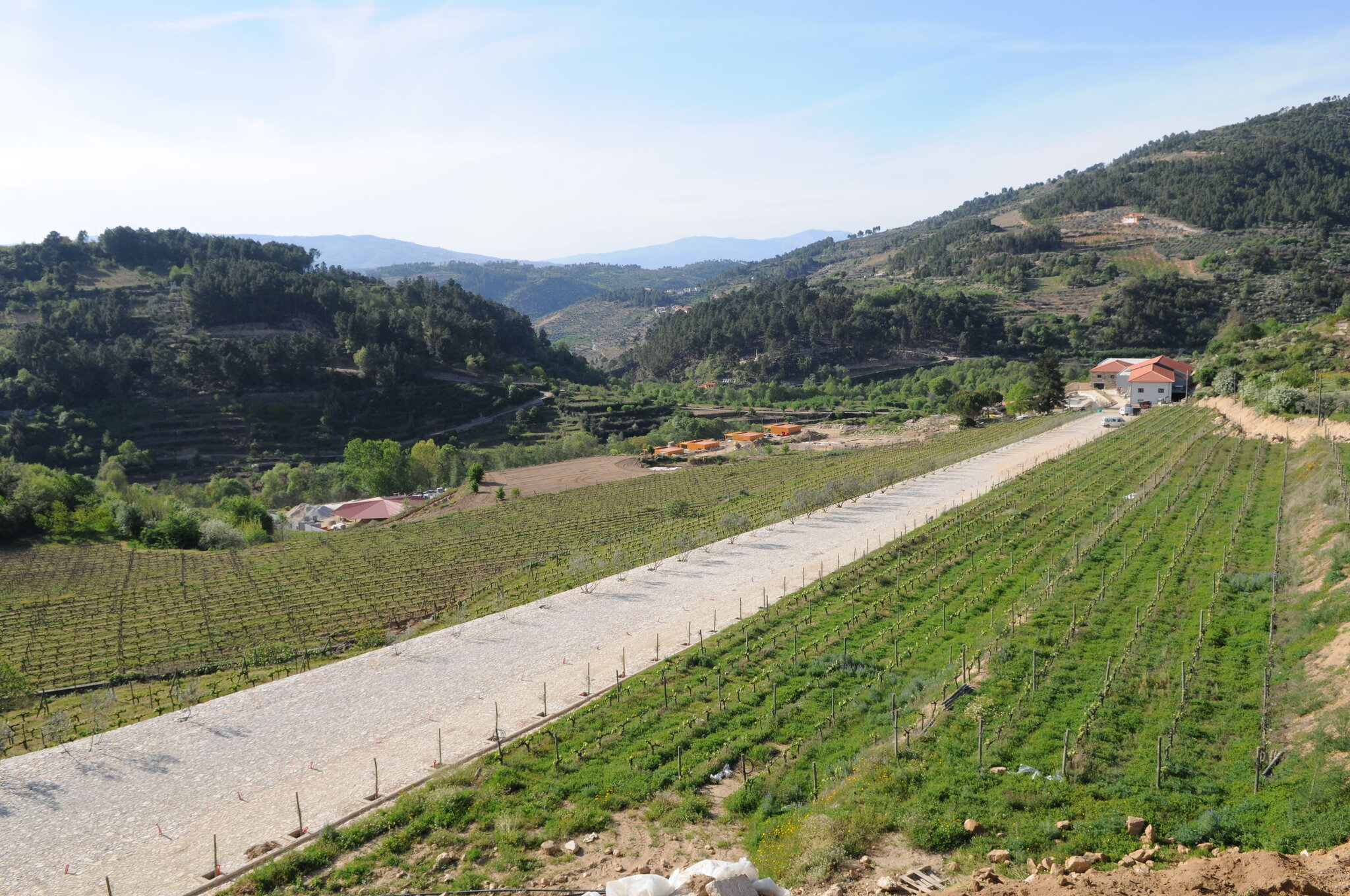 Douro Cister Hotel Resort 5