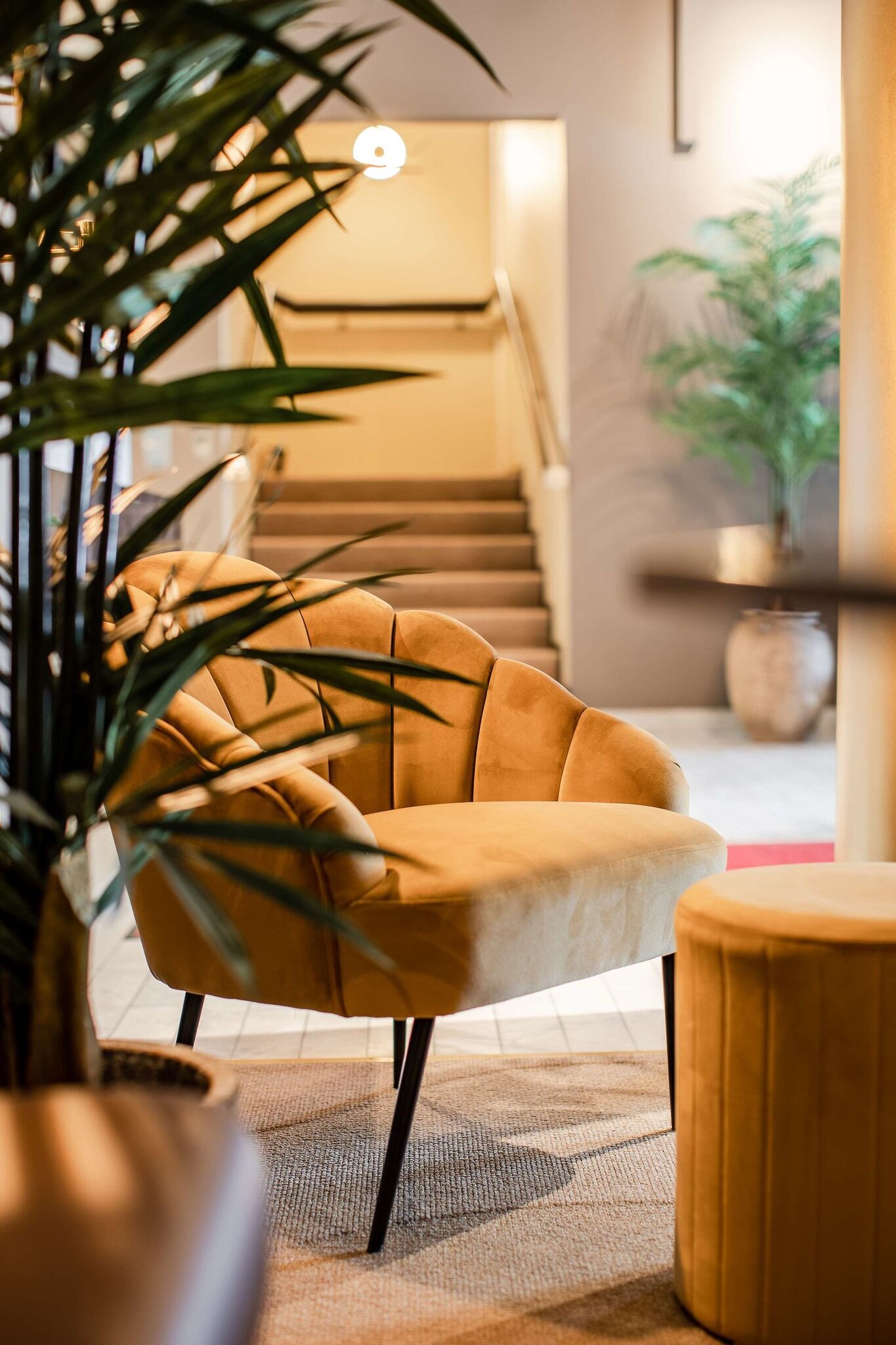 Collection Signature - Palm Tree Hotel 5