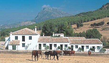 Hotel el Horcajo 4