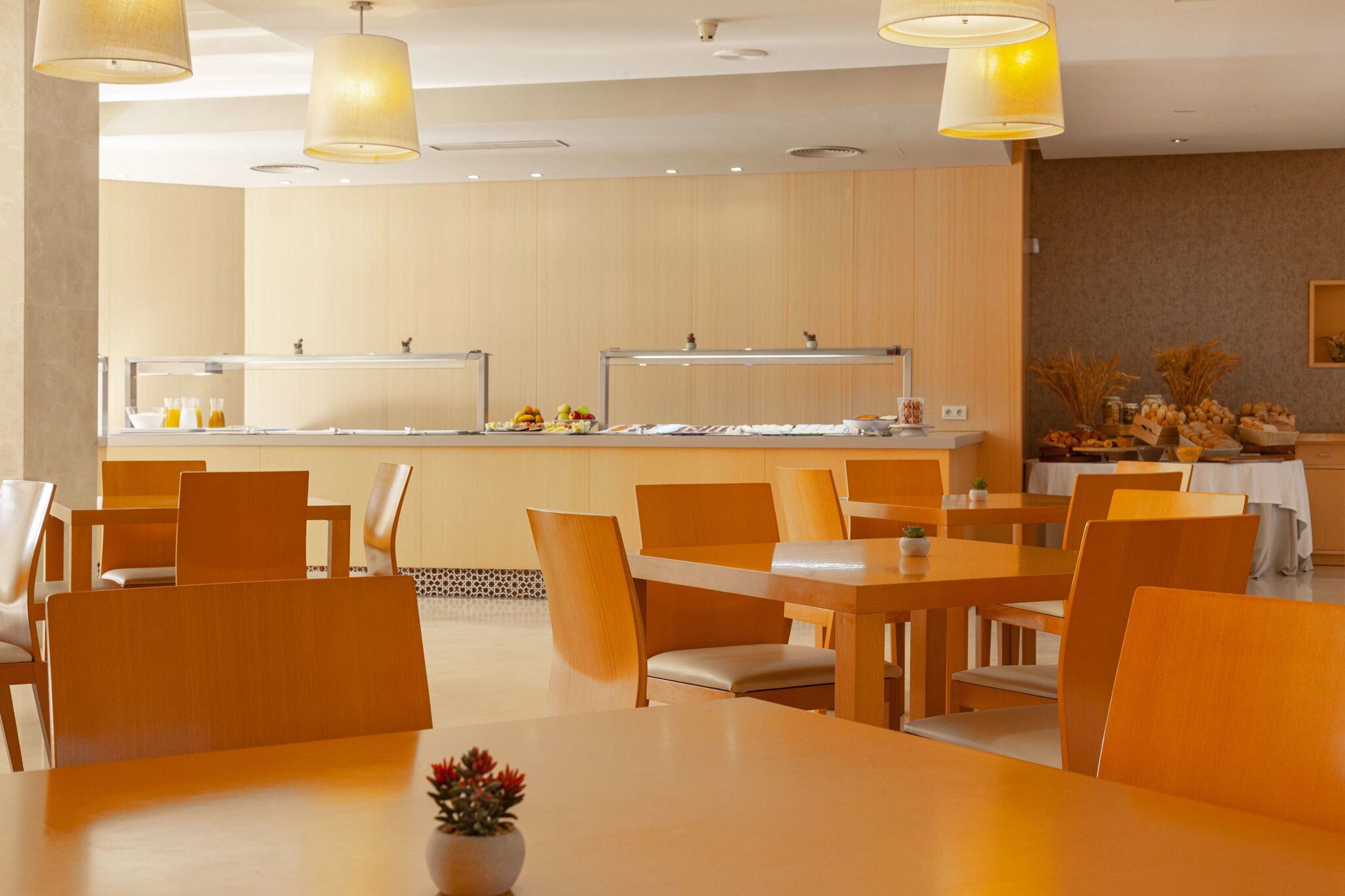Hotel Macià Doñana 5