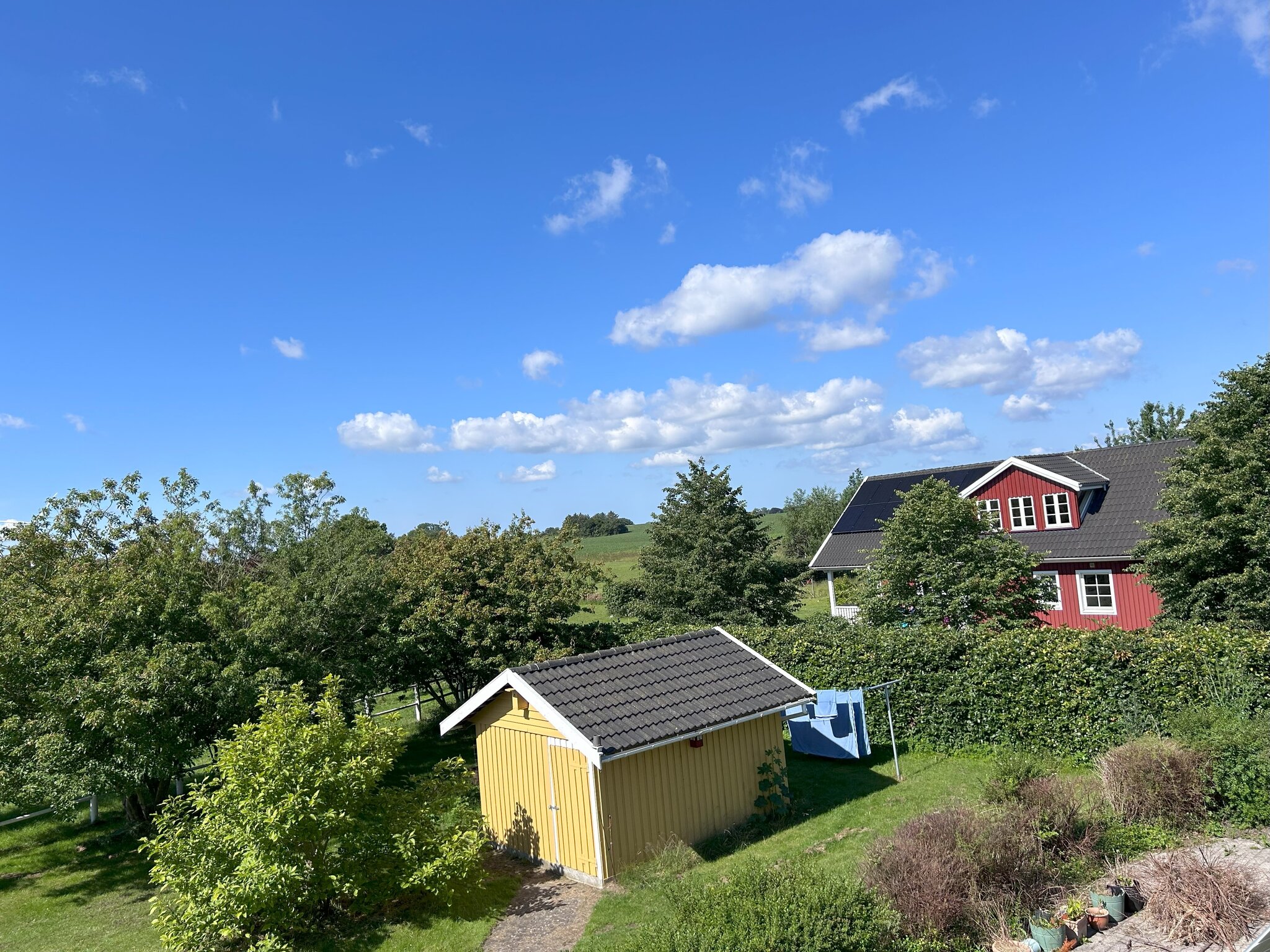 Anettes Bed & Breakfast Falster 5