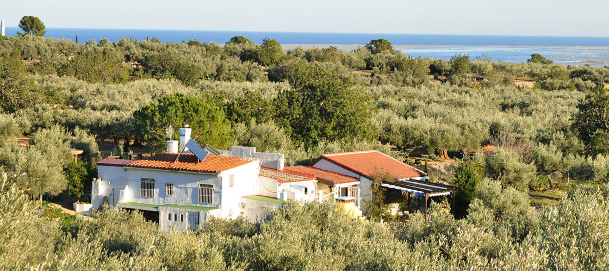 Ecoturismo Villafeliche 5