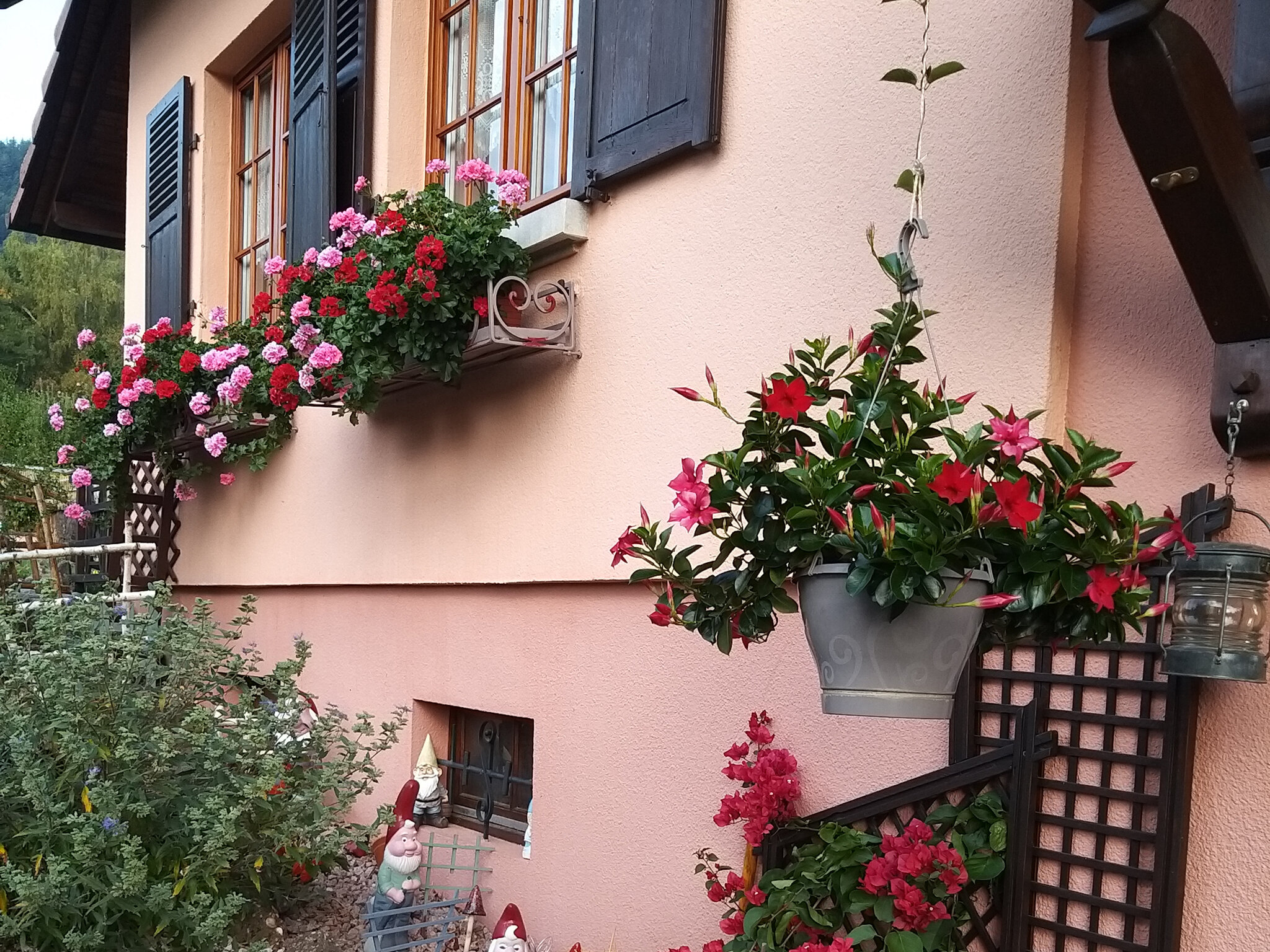 Maison Rose 5