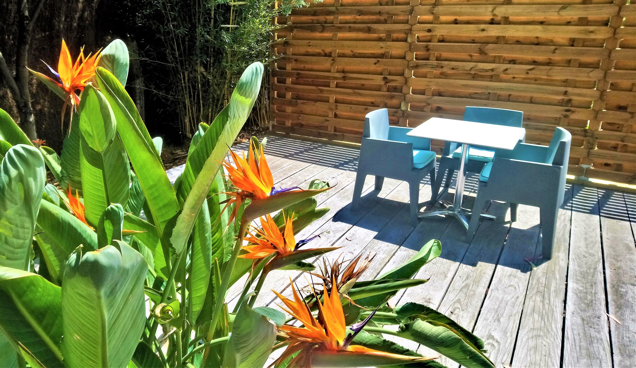 Les Jardins de Bormes 5