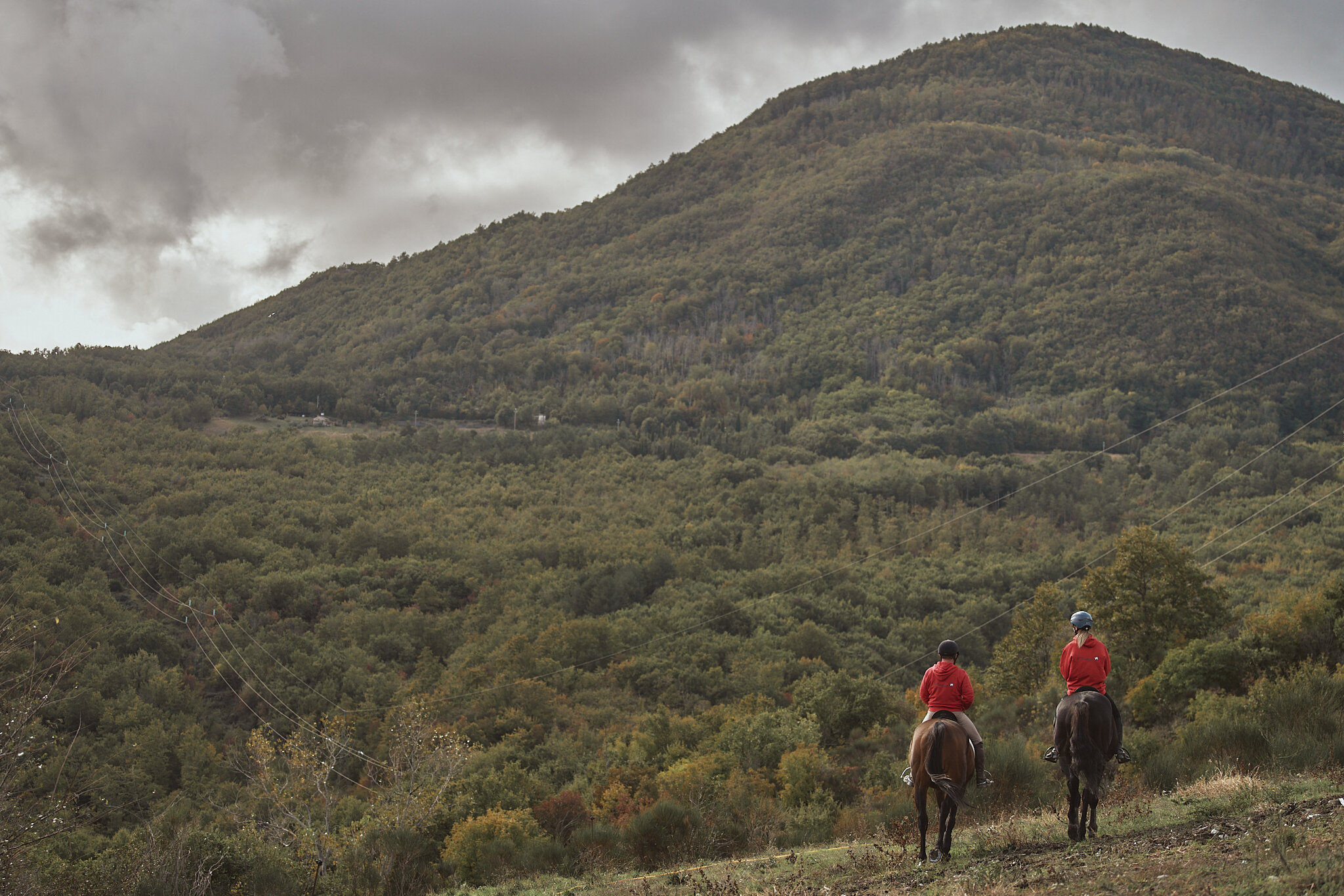 Agriturismo Centro Equestre Il Cavalleggero 2