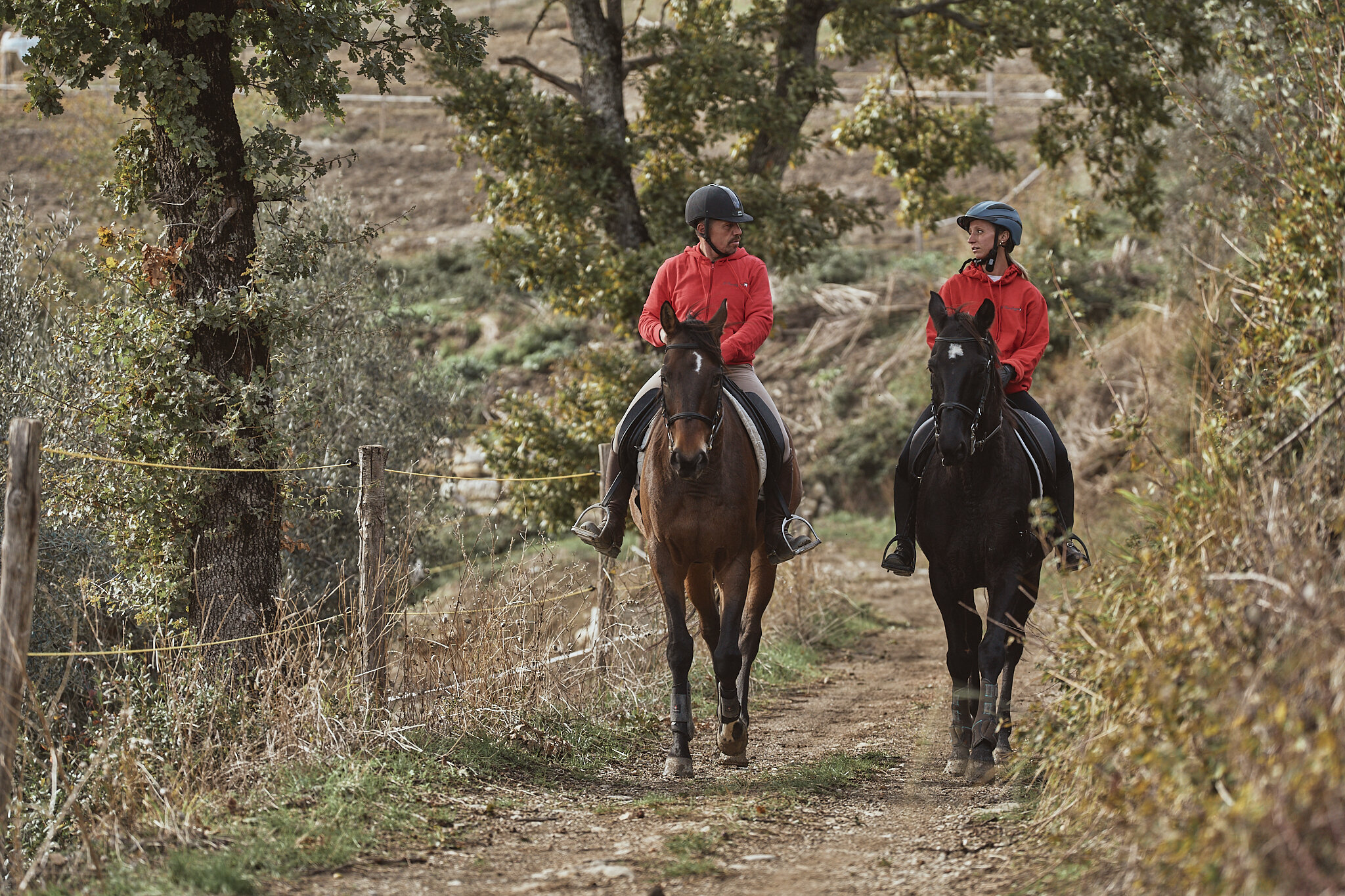 Agriturismo Centro Equestre Il Cavalleggero 5