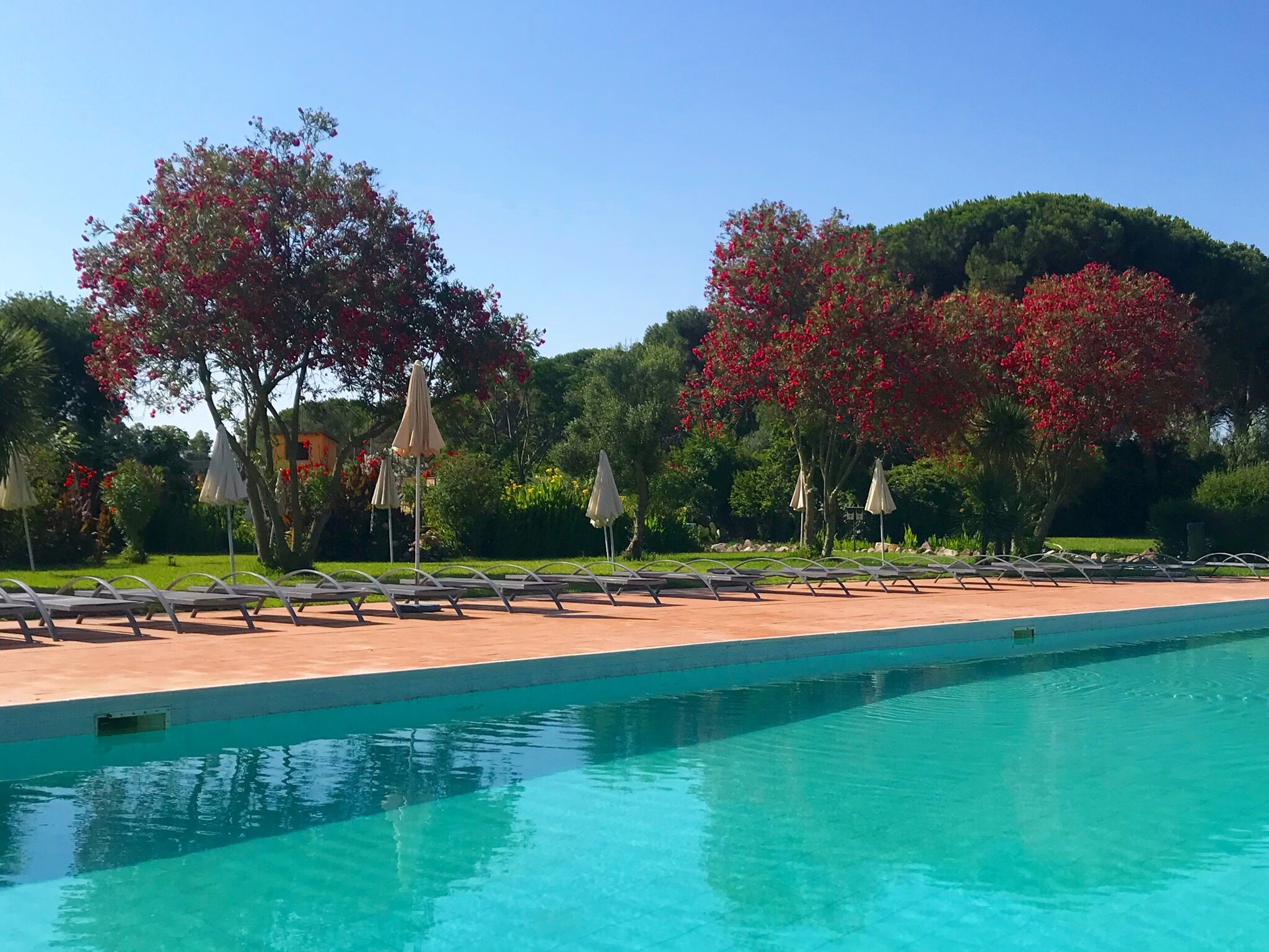 Horse Country Resort Congress & Spa 4