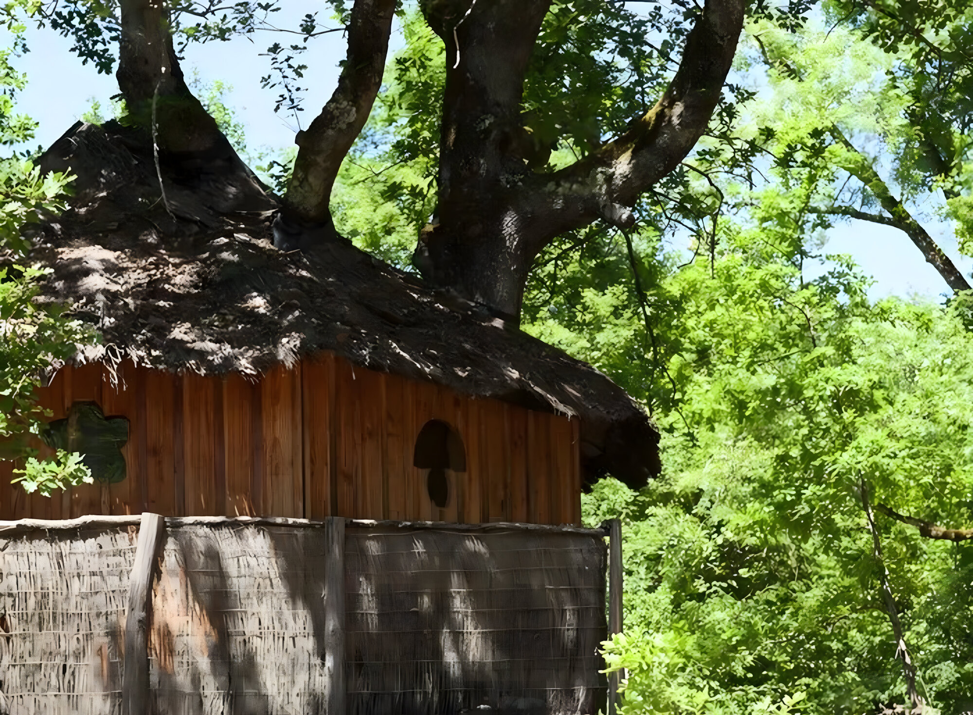 Les Cabanes de Brassac 5