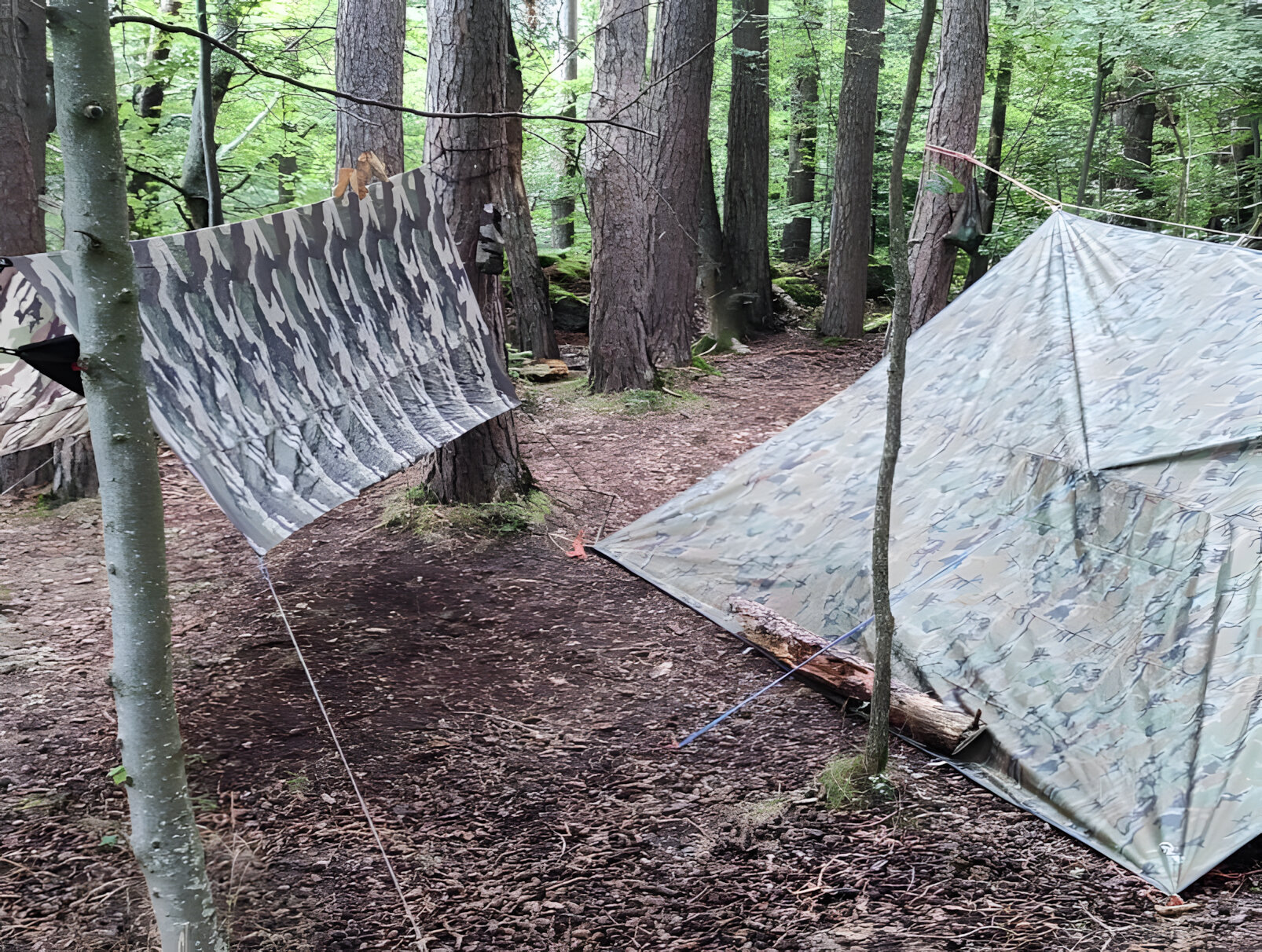 Bougnat Bushcraft 4