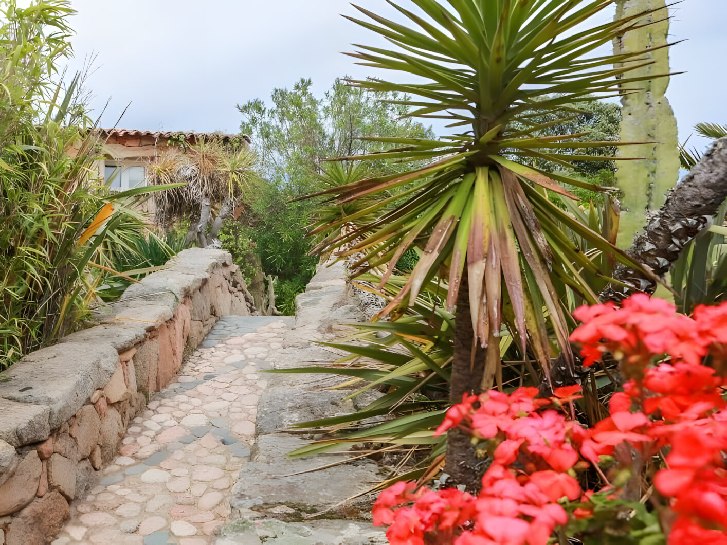 Domaine de Piscia 3