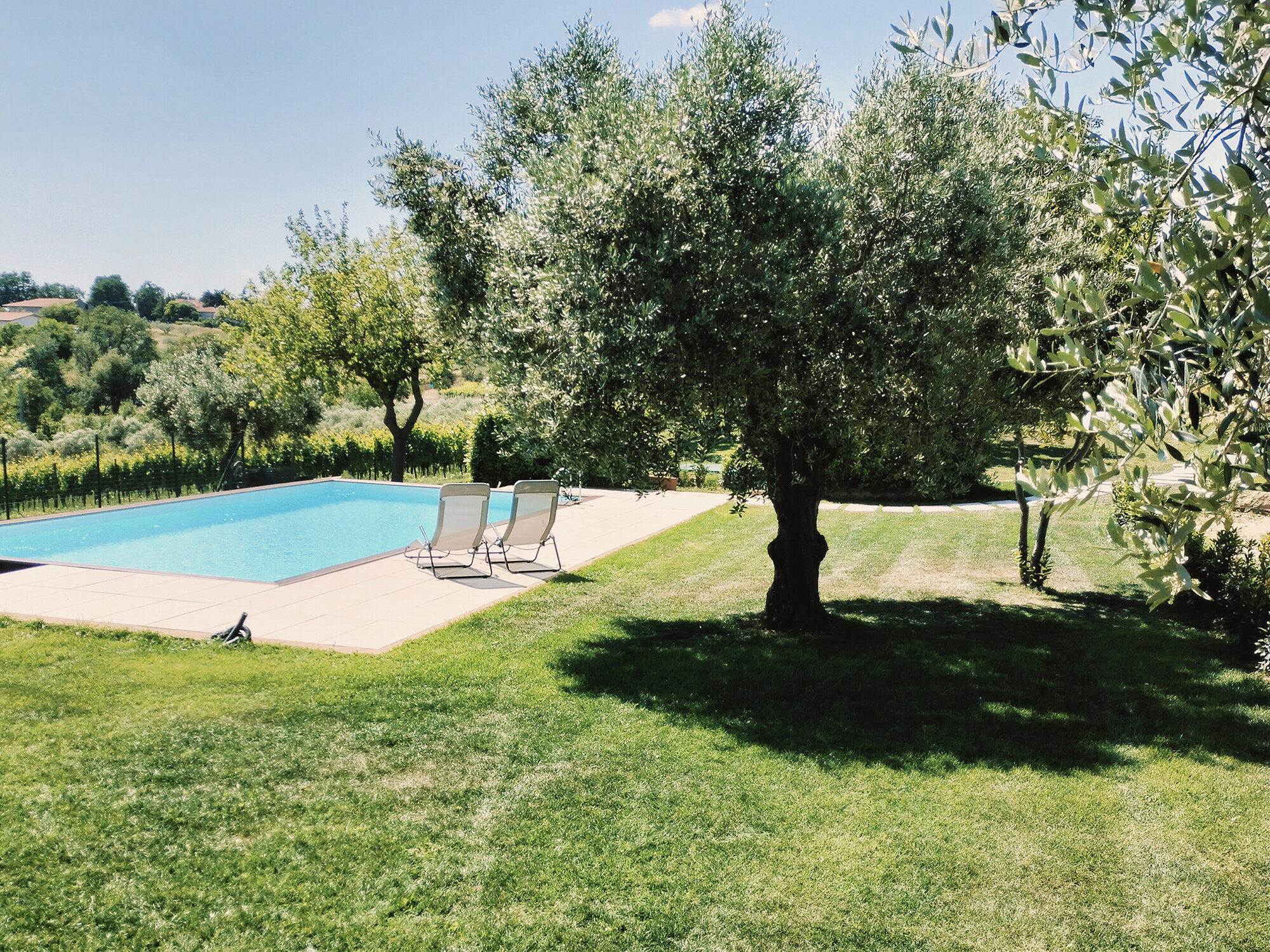 Agriturismo Angelucci 2