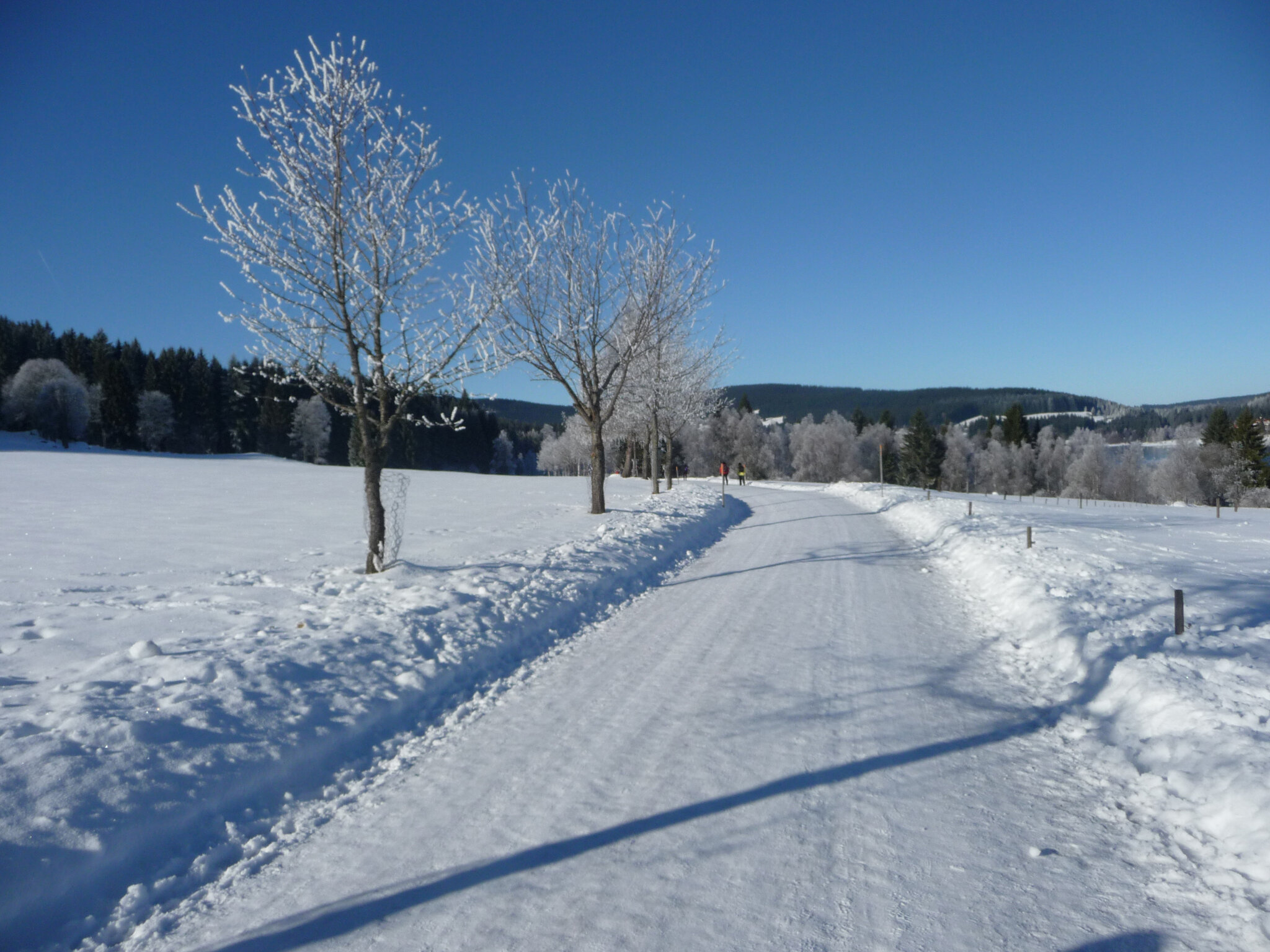 Bio- und Wellnesshotel Alpenblick 2