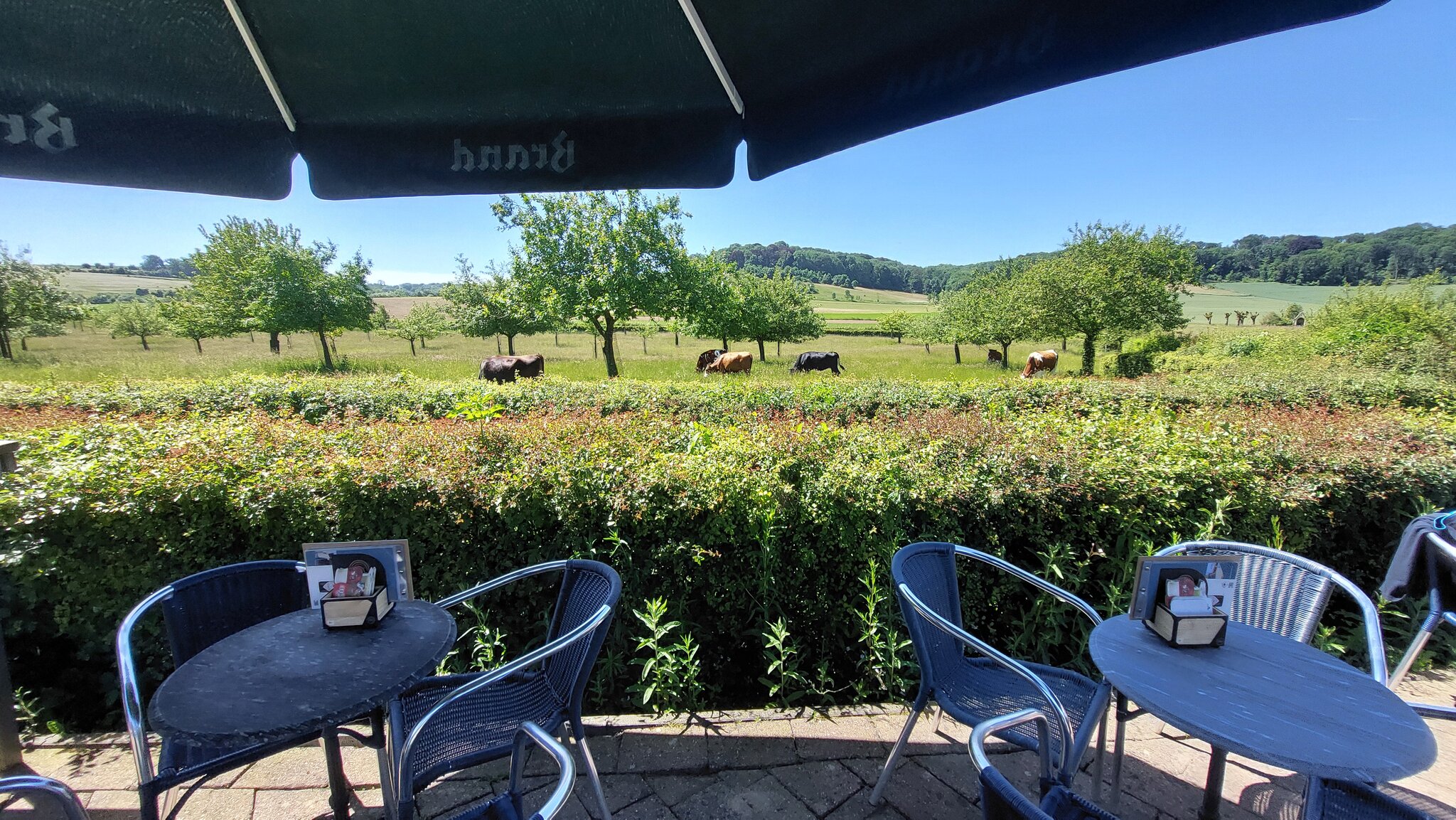 B&B Hotel Het Gerendal 5