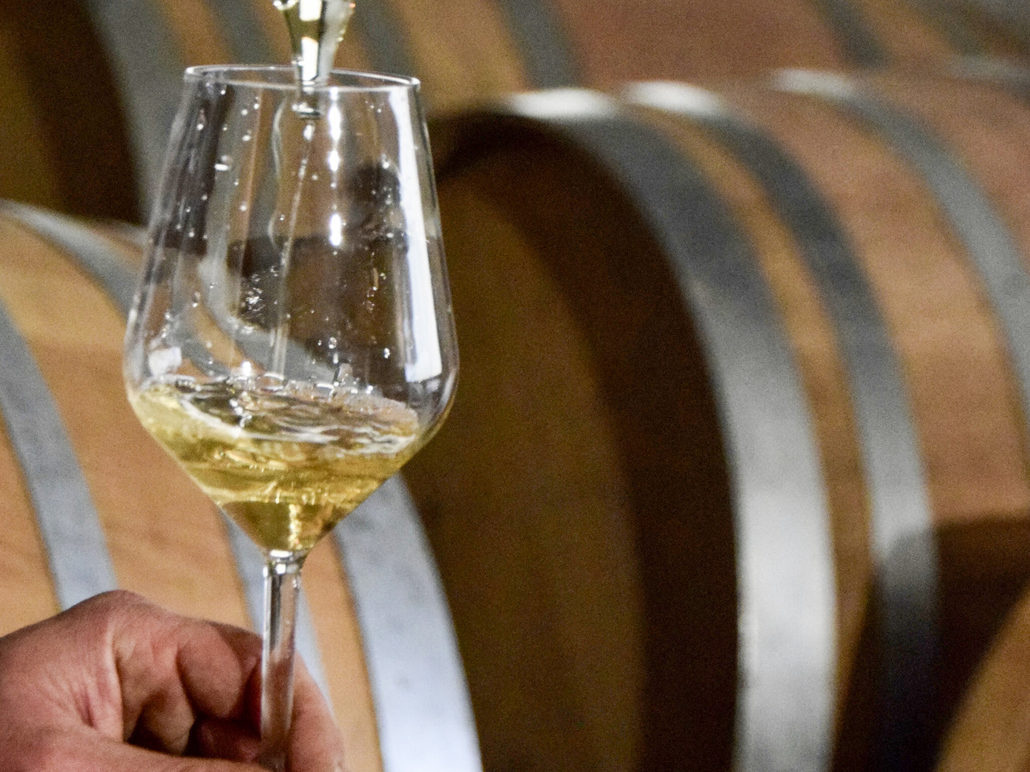 Azienda Vinicola - Agriturismo e B&B Fontanassa 2