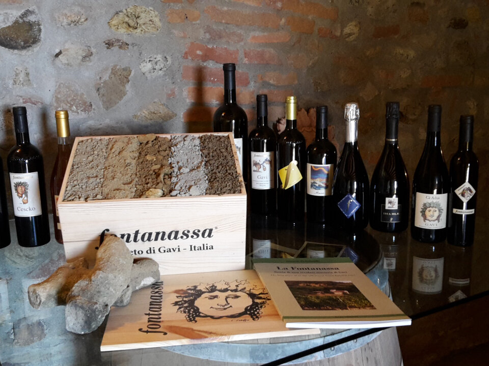 Azienda Vinicola - Agriturismo e B&B Fontanassa 5