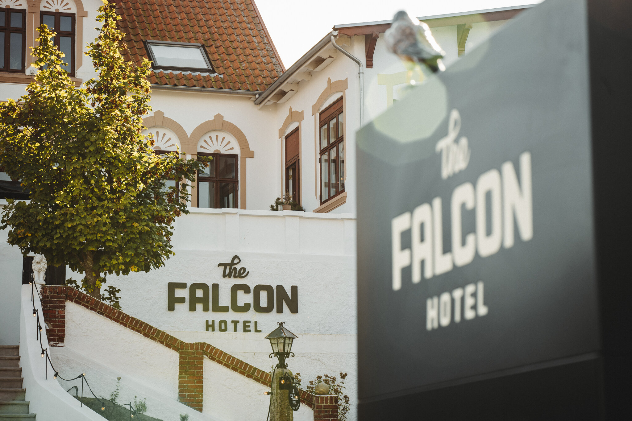 The Falcon Hotel 3