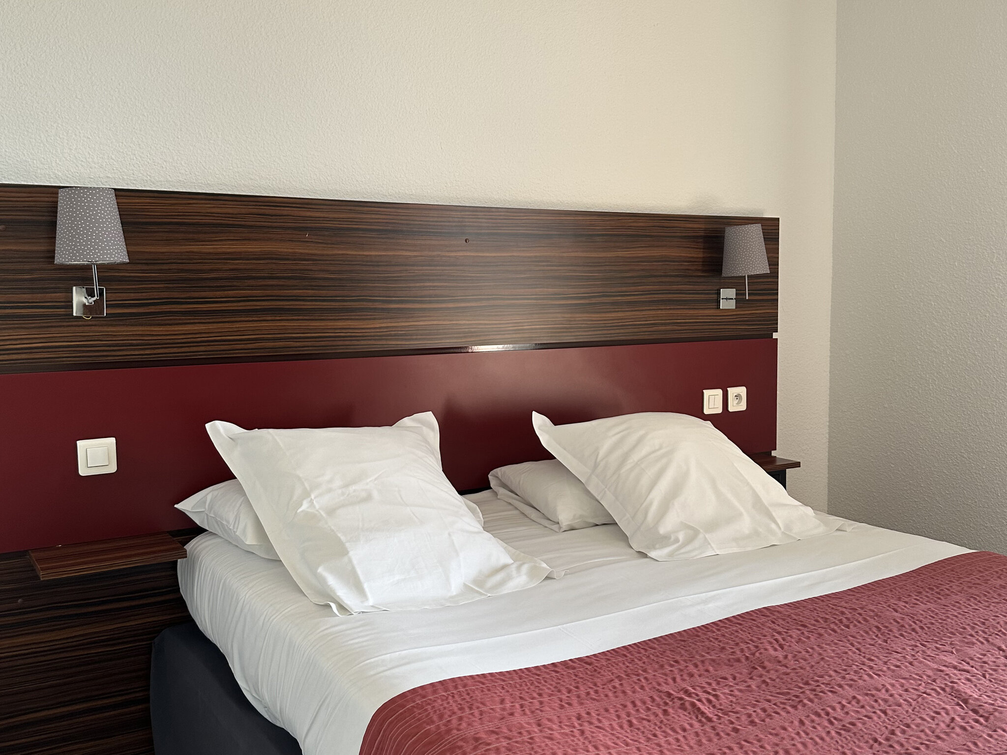 Hôtel Palladior Voiron 3