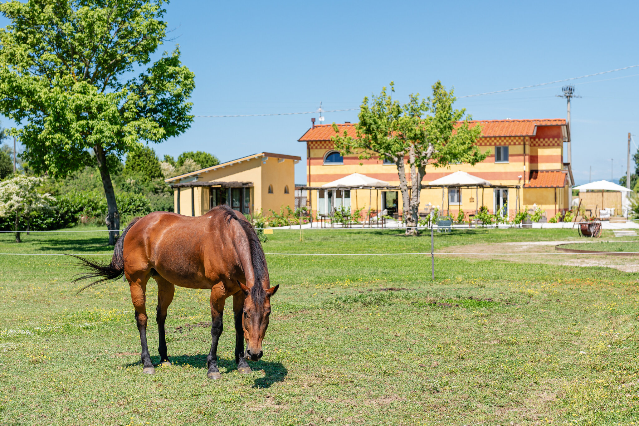 Podere Il Cavallo Blu