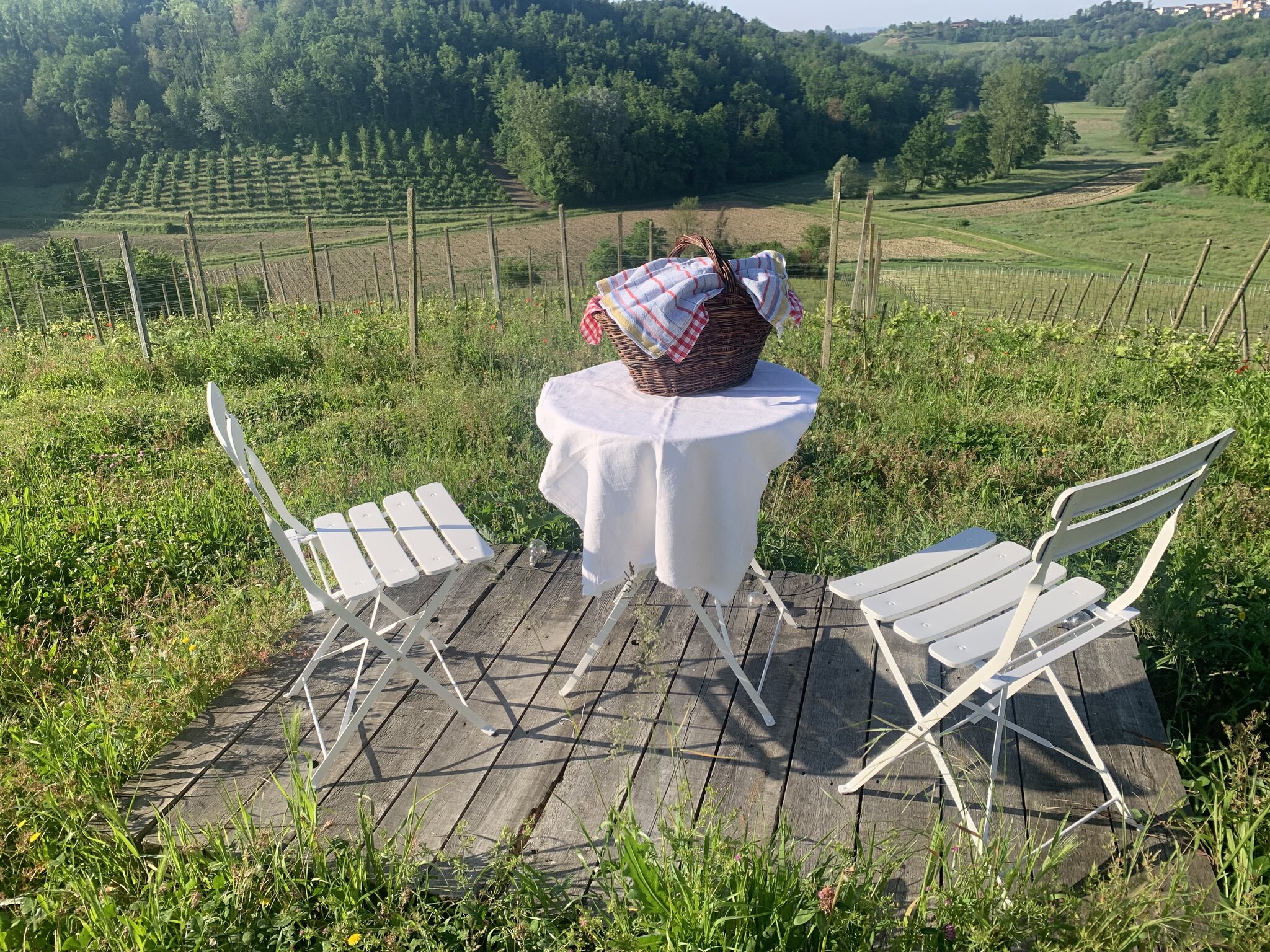 Azienda Agricola Cascina Tavijn 5