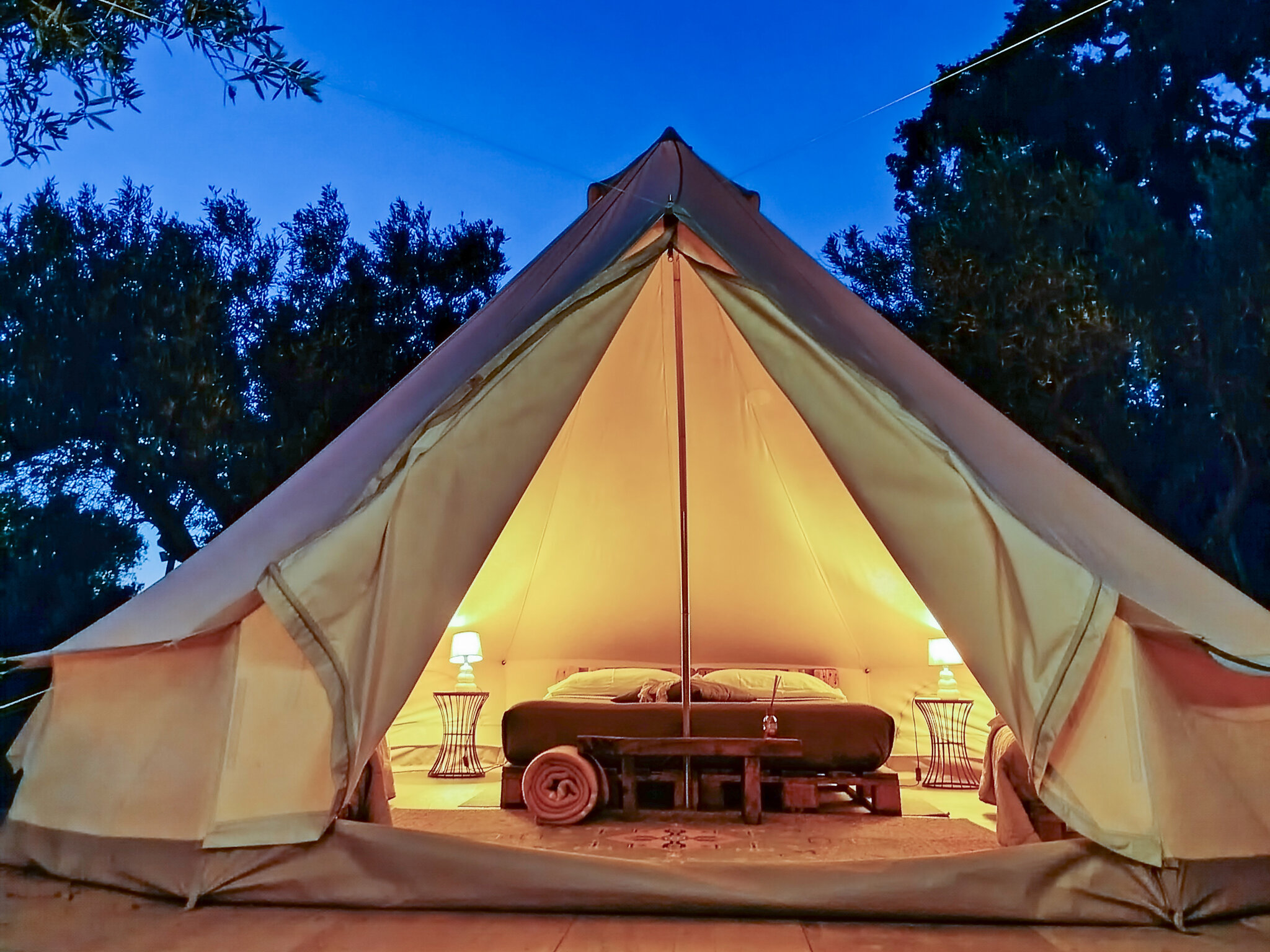 Golden Camp 2