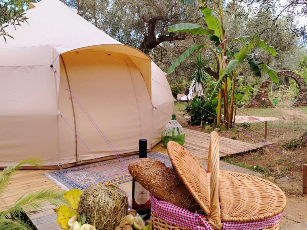 Golden Camp 5