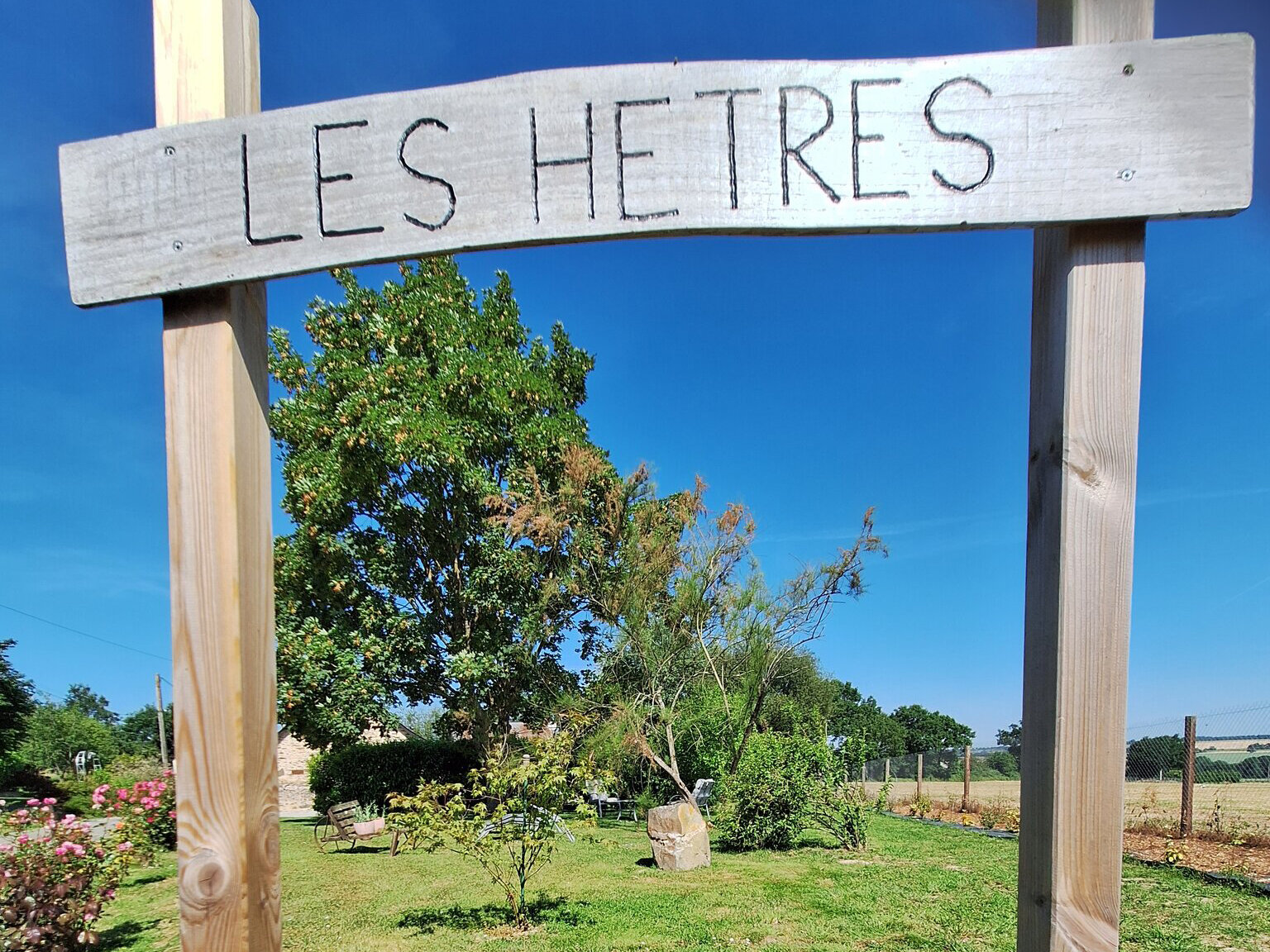 Le Chemin des Hêtres 2
