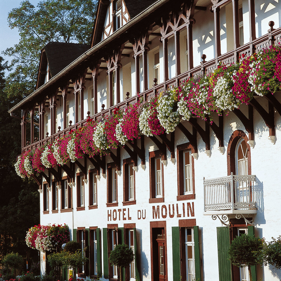 Hotel Du Moulin 4