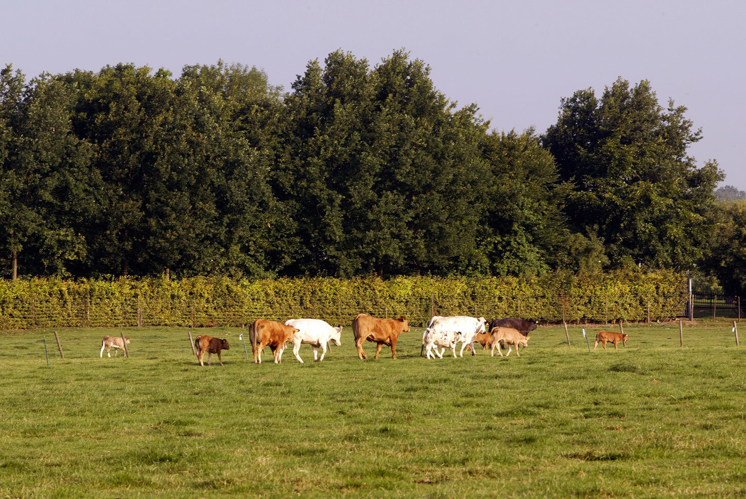 B&B de Traverse 4