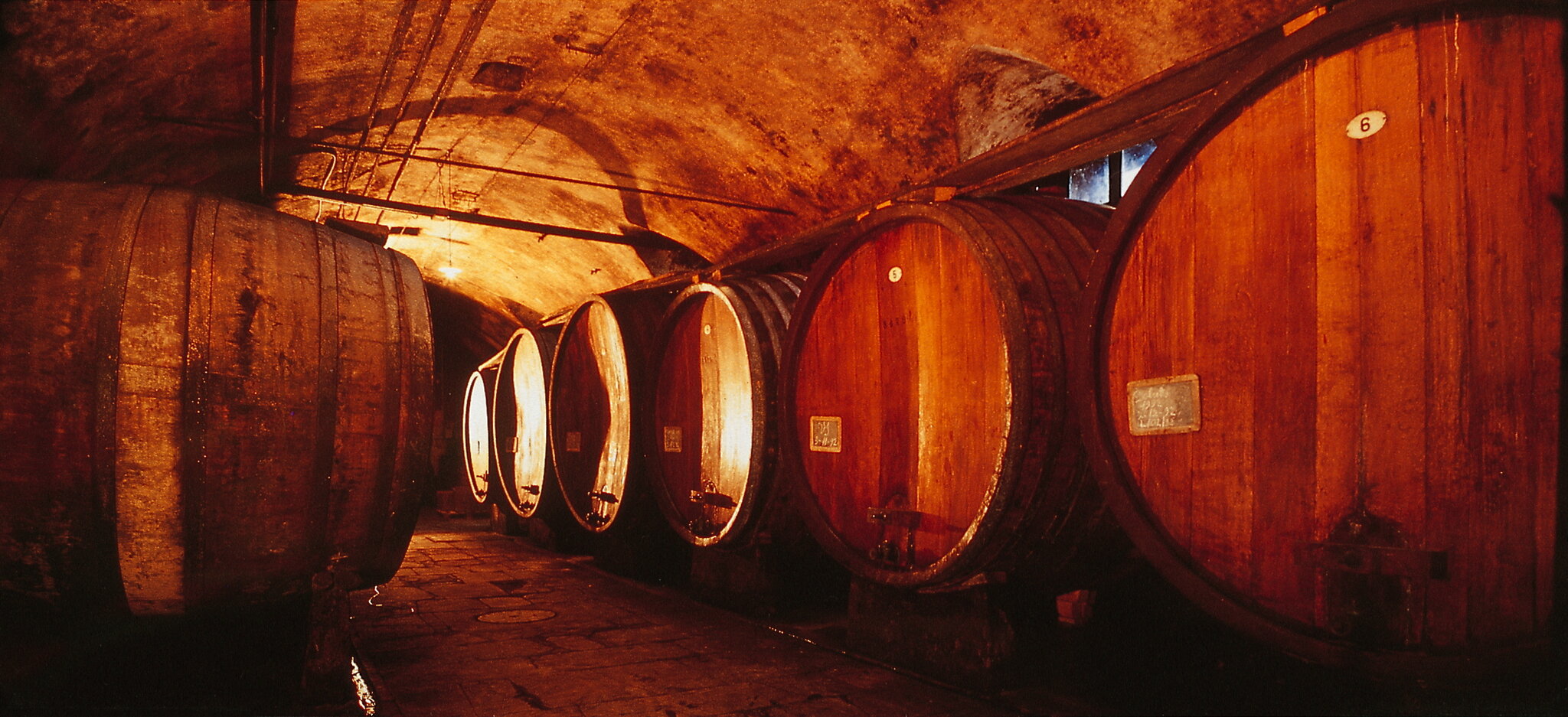 Castello di Tagliolo 2