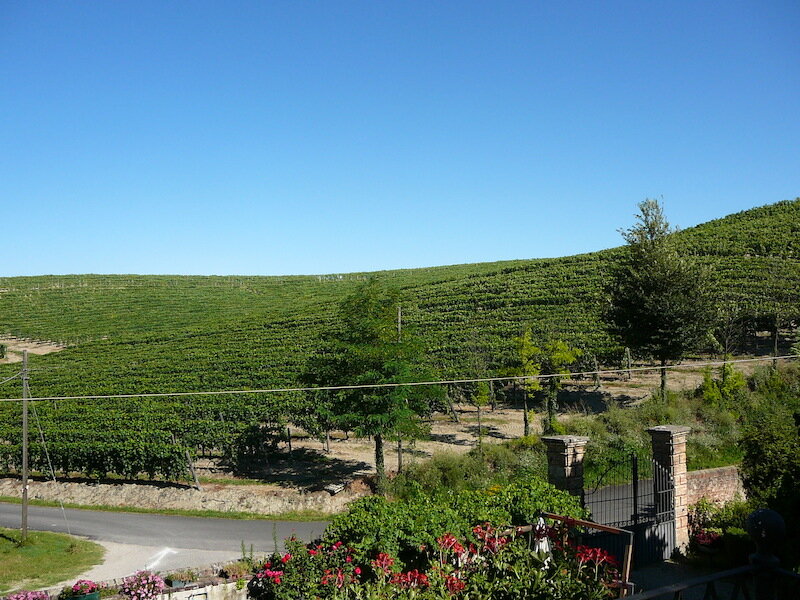 Agriturismo Cascina Zenevrea 2
