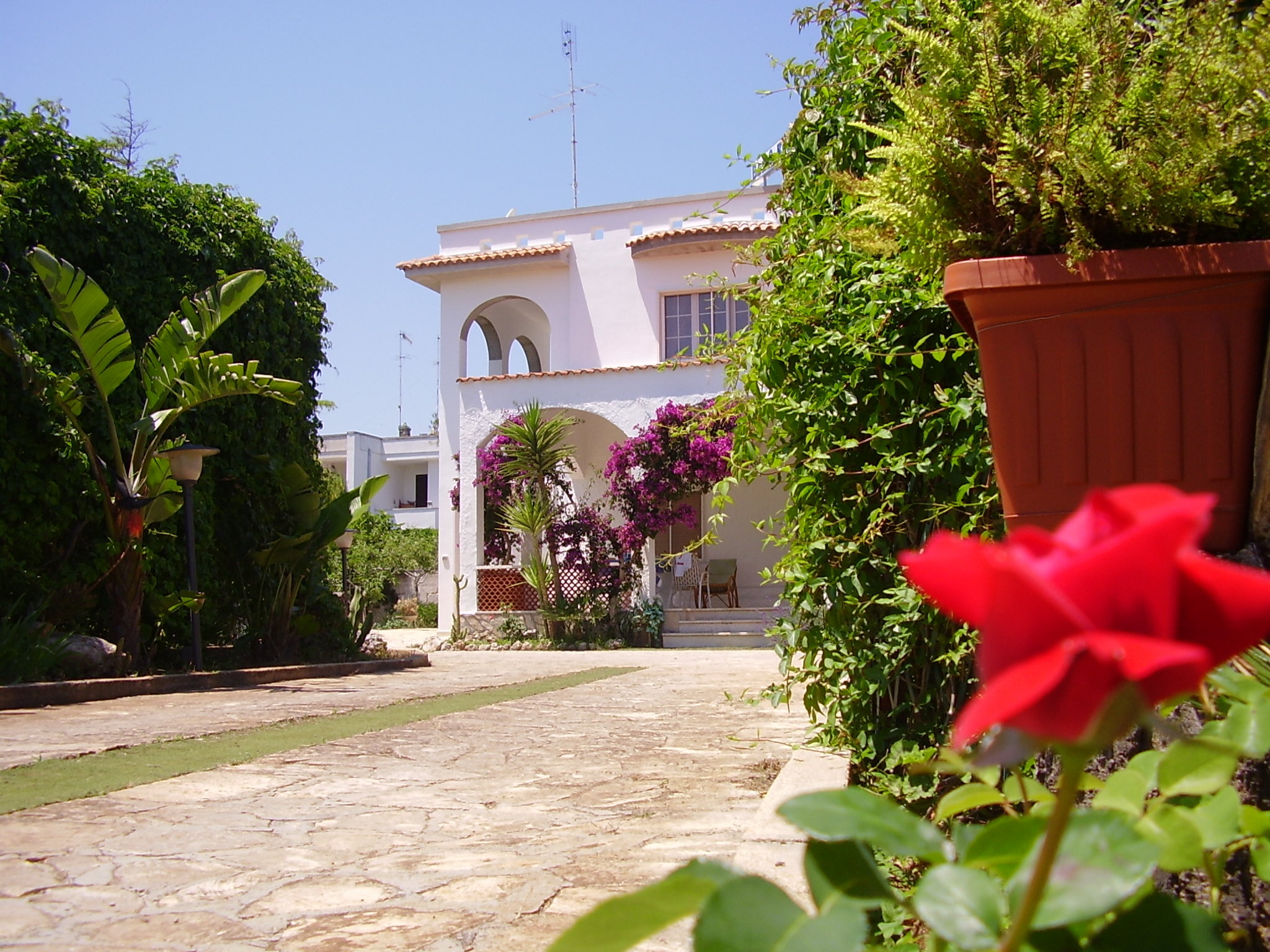 B&B Santa Sabina 4