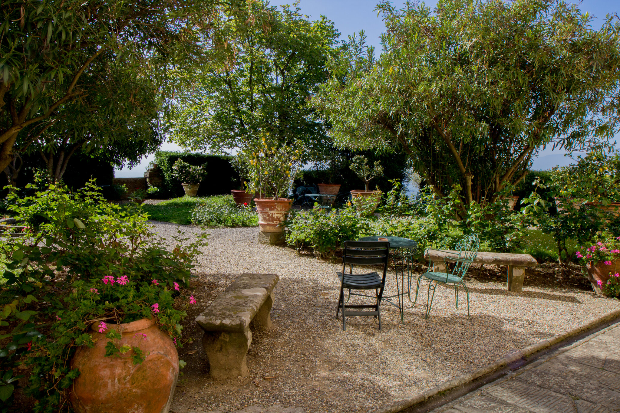 Agriturismo Fattoria di Petrognano 5