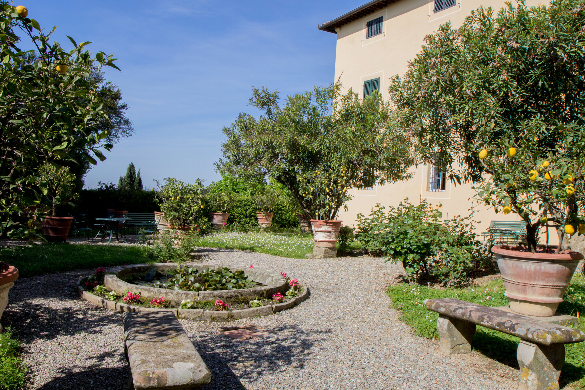 Agriturismo Fattoria di Petrognano 2