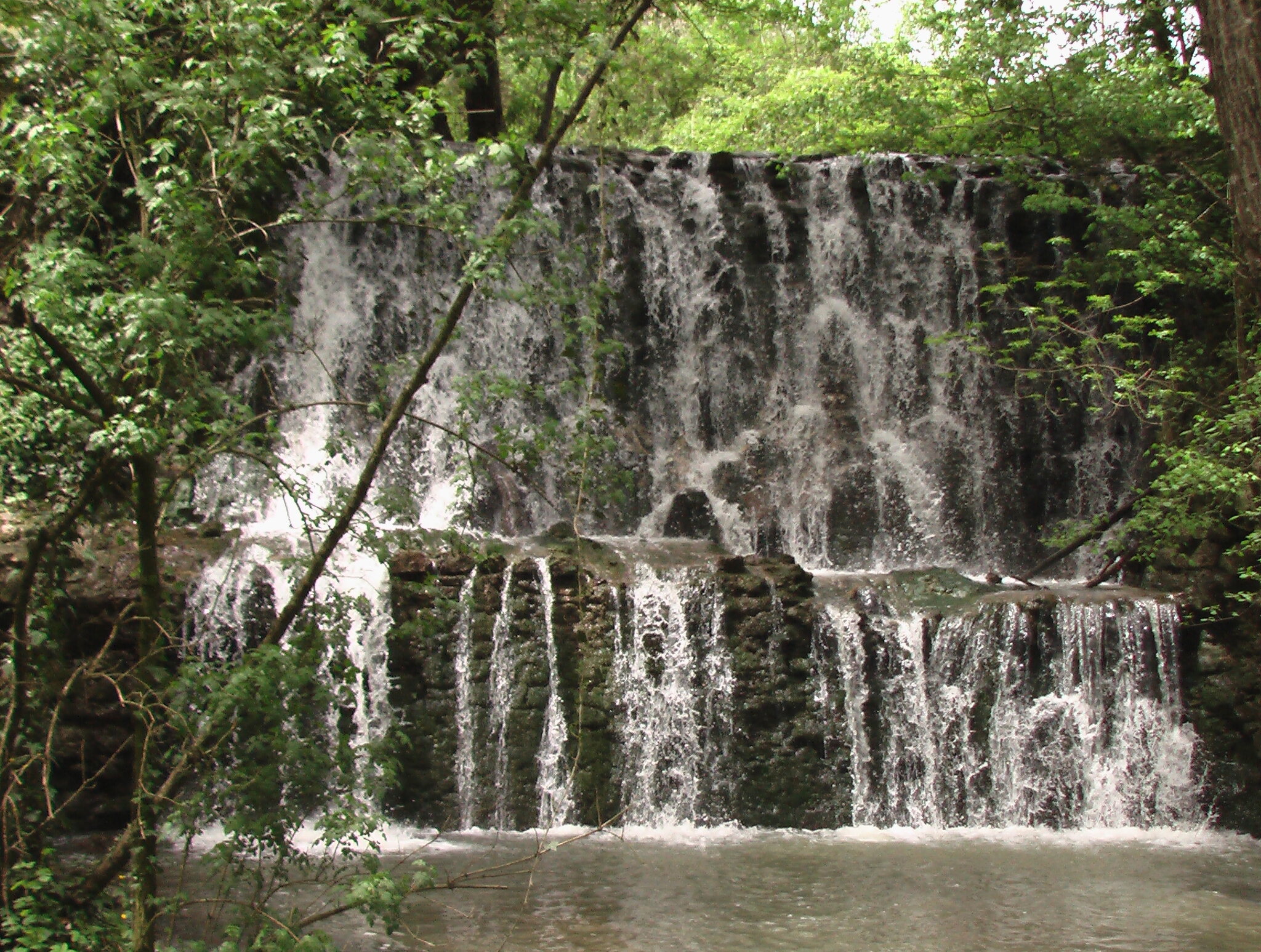 Agriturismo il Molinaccio al Rio Chiaro 4