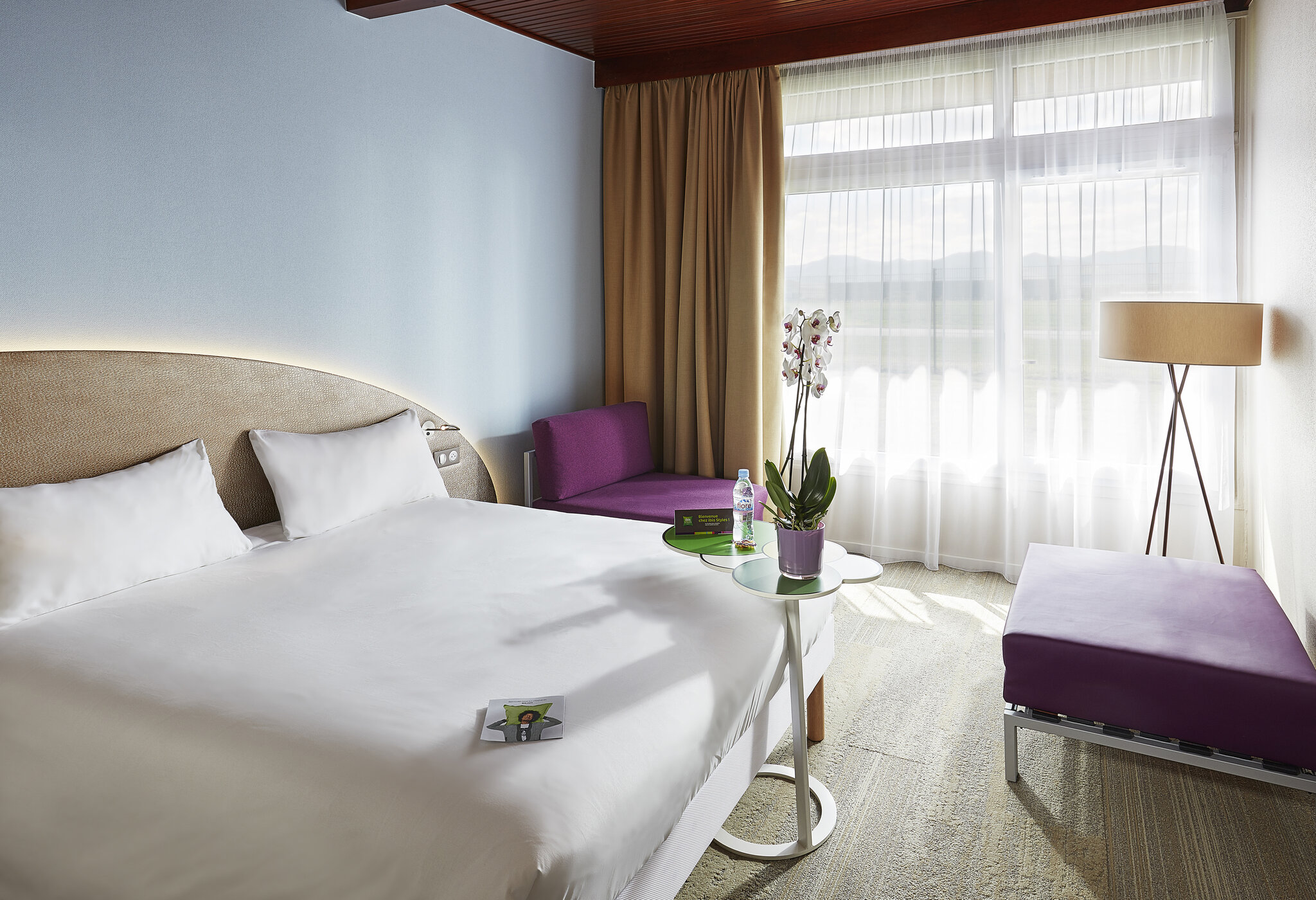 Ibis Colmar Centre 3