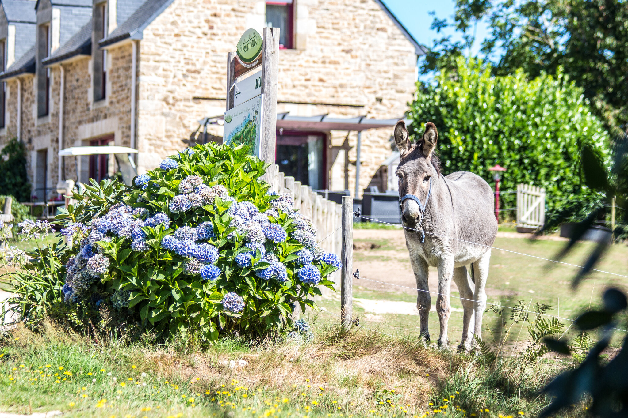 La Vallée de Pratmeur 3