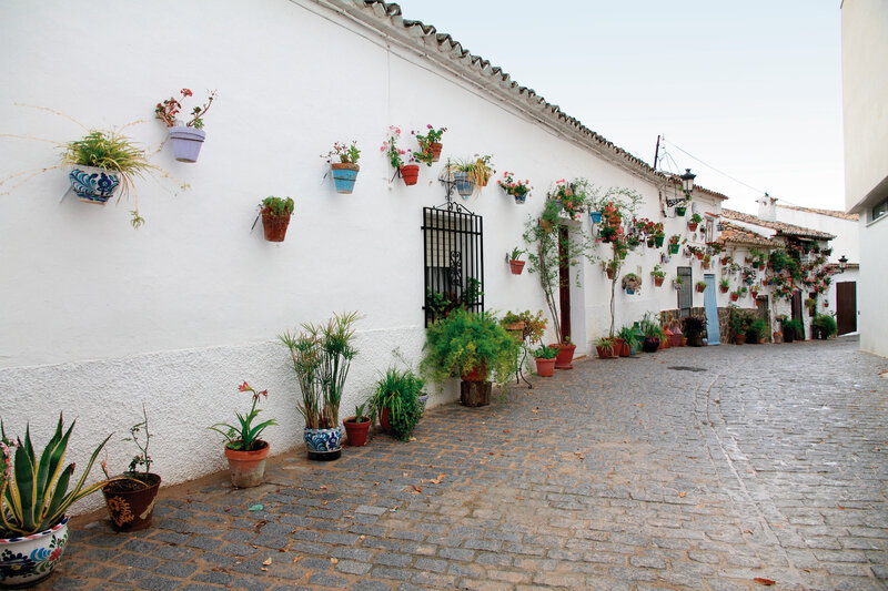 Hotel La Moraleda 3