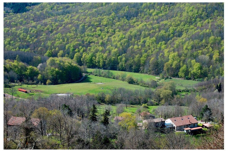 Agriturismo il Cornacchino 2