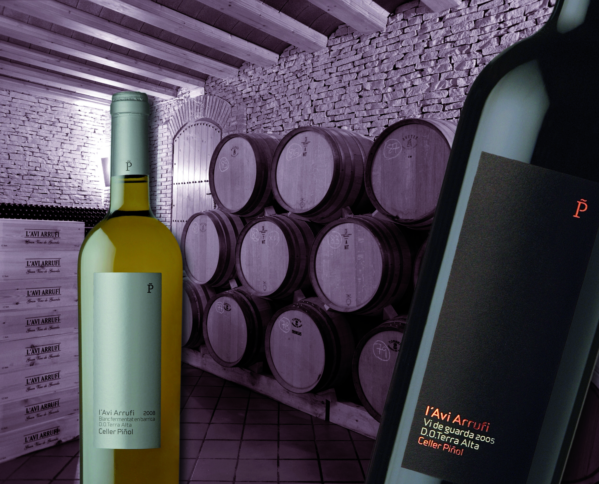 Enoturismo Celler Piñol 2