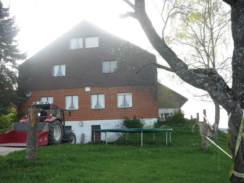 Bauernhof Oberfringeli 3