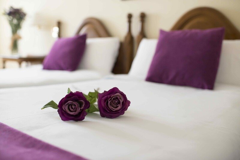 Hotel Villa Elciego 5