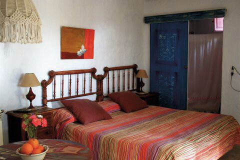 Casa Rural Aloe Vera 5