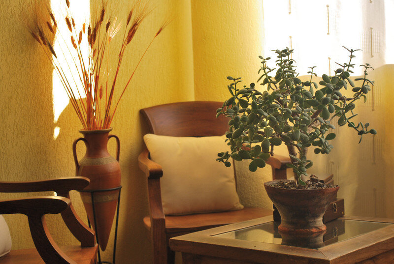 Hotel Rural Valle Agadón 3