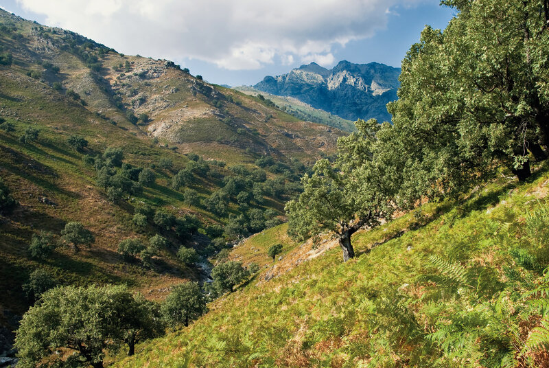 Domaine de Mournac 3