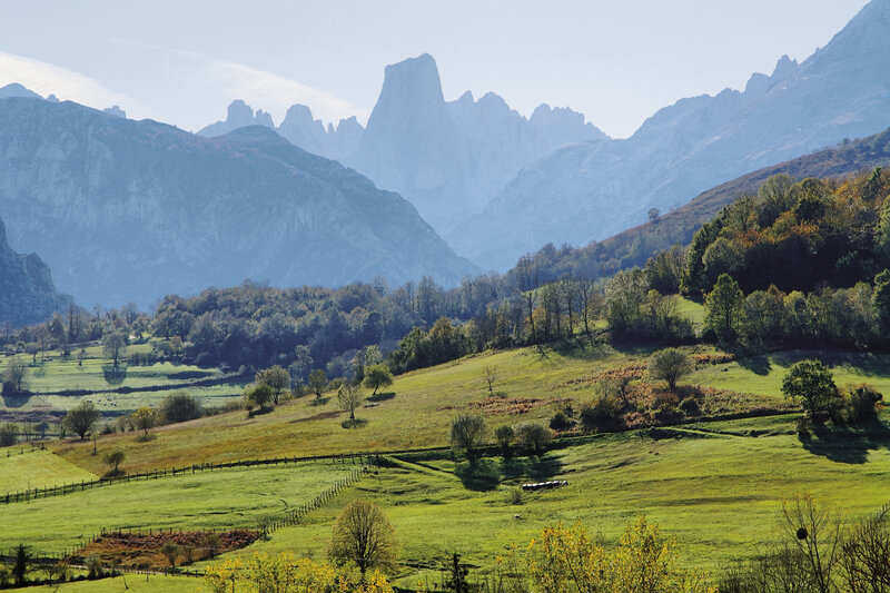 Hotel Naranjo de Bulnes 3
